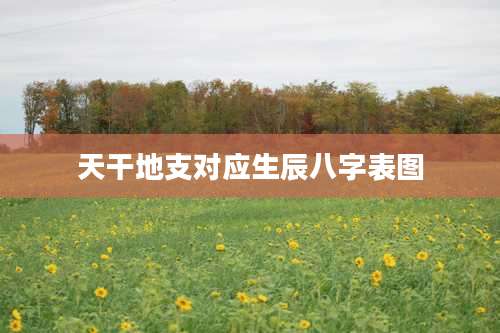 天干地支对应生辰八字表图