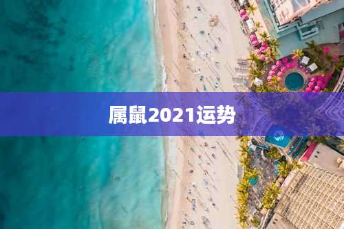 属鼠2021运势