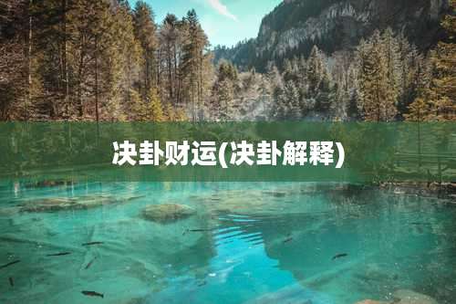 决卦财运(决卦解释)
