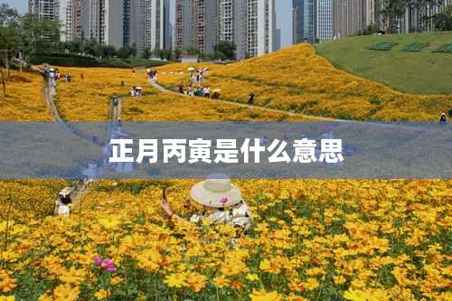 正月丙寅是什么意思