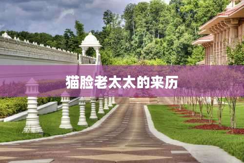 猫脸老太太的来历