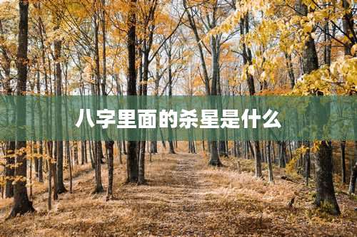 八字里面的杀星是什么