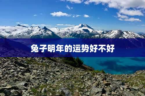 兔子明年的运势好不好