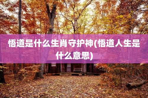 悟道是什么生肖守护神(悟道人生是什么意思)