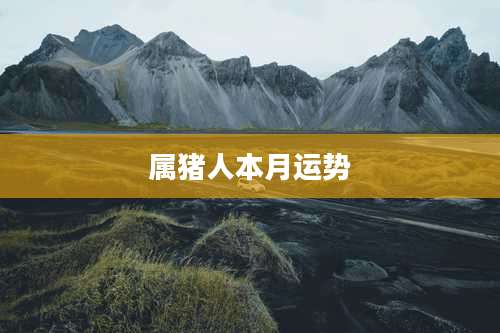 属猪人本月运势