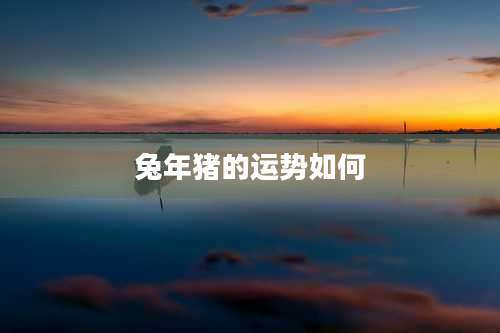 兔年猪的运势如何