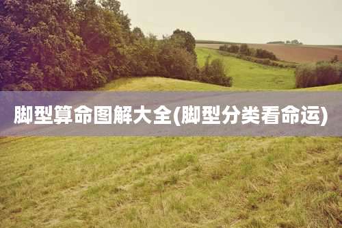 脚型算命图解大全(脚型分类看命运)