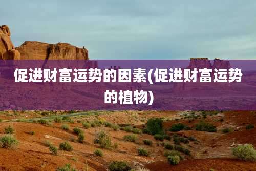 促进财富运势的因素(促进财富运势的植物)