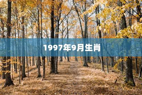 1997年9月生肖