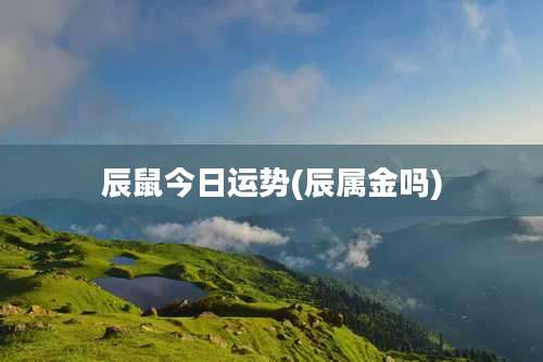 辰鼠今日运势(辰属金吗)