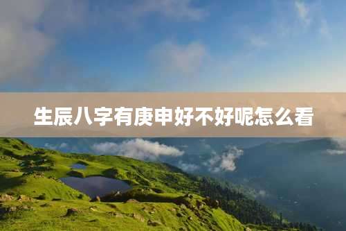 生辰八字有庚申好不好呢怎么看