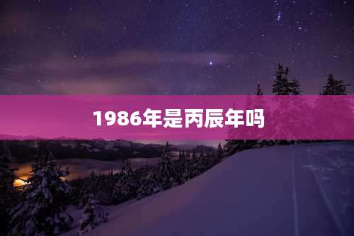 1986年是丙辰年吗