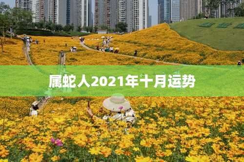 属蛇人2021年十月运势