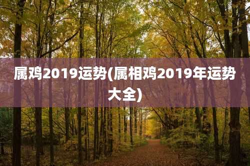 属鸡2019运势(属相鸡2019年运势大全)