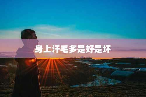 身上汗毛多是好是坏