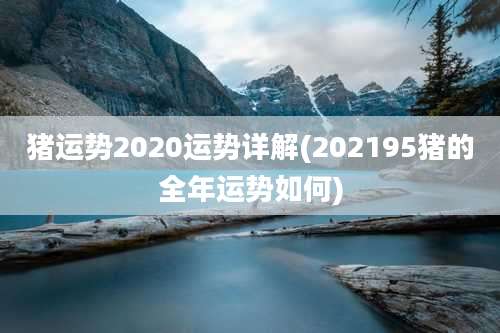 猪运势2020运势详解(202195猪的全年运势如何)
