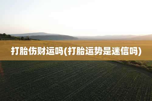 打胎伤财运吗(打胎运势是迷信吗)