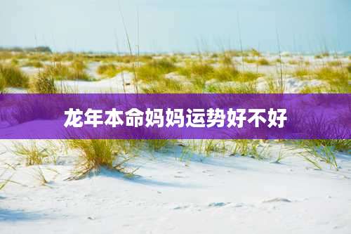 龙年本命妈妈运势好不好