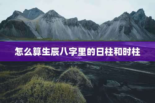 怎么算生辰八字里的日柱和时柱