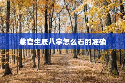 藏官生辰八字怎么看的准确