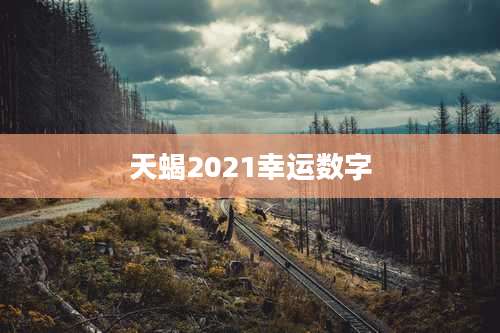 天蝎2021幸运数字