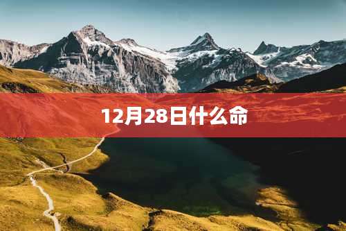 12月28日什么命