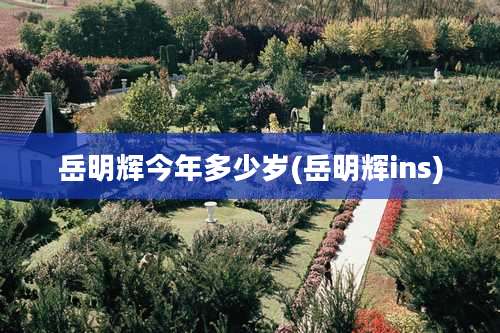 岳明辉今年多少岁(岳明辉ins)