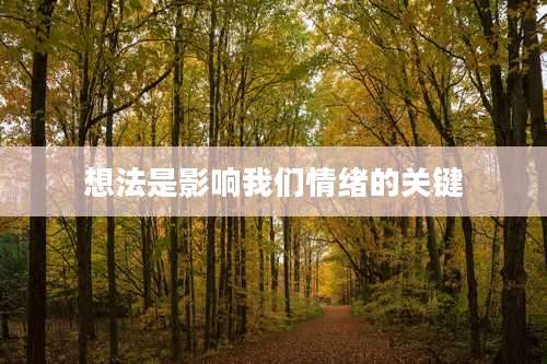 想法是影响我们情绪的关键