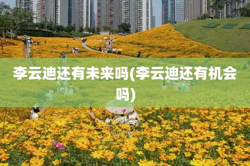 李云迪还有未来吗(李云迪还有机会吗)