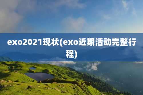 exo2021现状(exo近期活动完整行程)