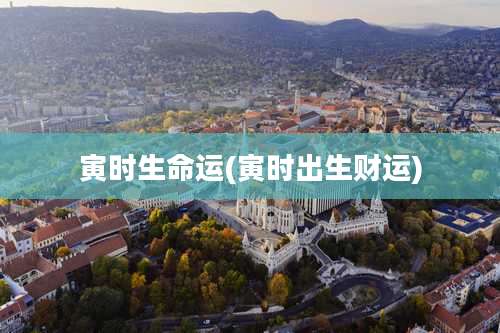 寅时生命运(寅时出生财运)