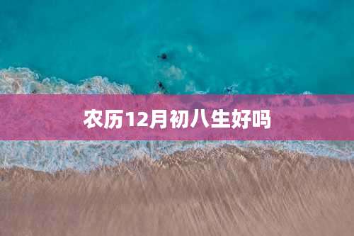 农历12月初八生好吗