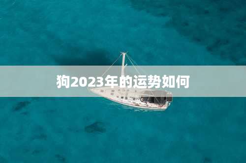 狗2023年的运势如何