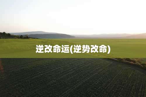 逆改命运(逆势改命)