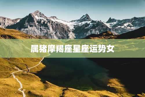 属猪摩羯座星座运势女