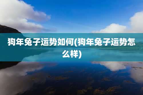 狗年兔子运势如何(狗年兔子运势怎么样)