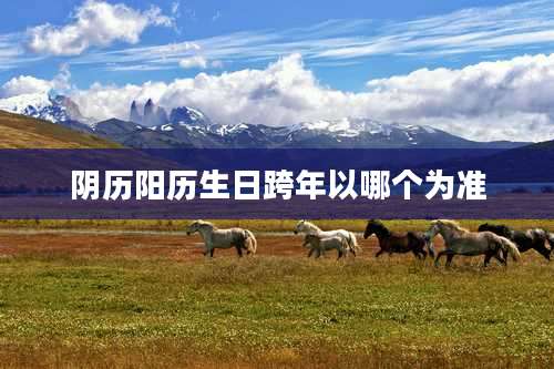 阴历阳历生日跨年以哪个为准