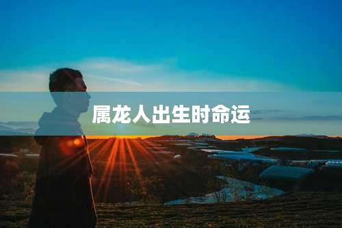 属龙人出生时命运