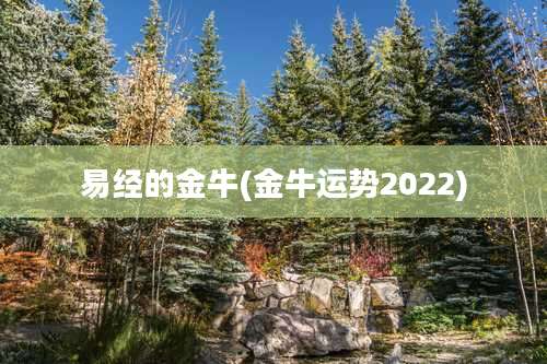 易经的金牛(金牛运势2022)