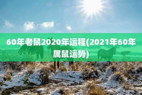 60年老鼠2020年运程(2021年60年属鼠运势)