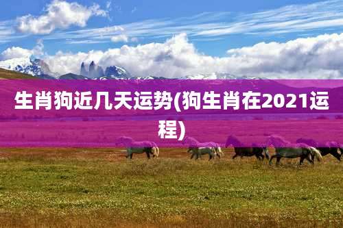 生肖狗近几天运势(狗生肖在2021运程)