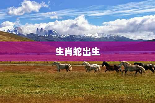 生肖蛇出生