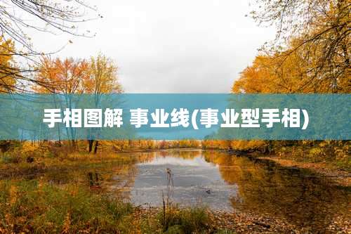 手相图解 事业线(事业型手相)