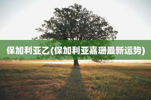 保加利亚乙(保加利亚嘉珊最新运势)