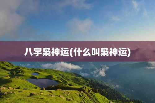 八字枭神运(什么叫枭神运)