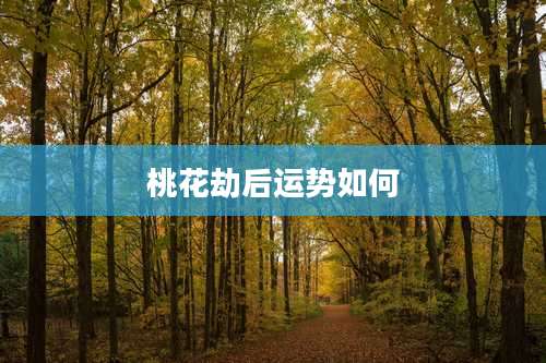 桃花劫后运势如何