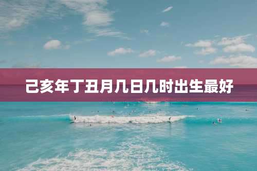 己亥年丁丑月几日几时出生最好