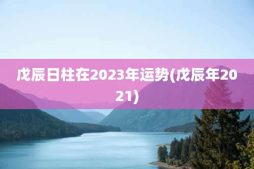 戊辰日柱在2023年运势(戊辰年2021)