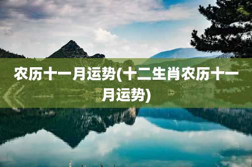 农历十一月运势(十二生肖农历十一月运势)