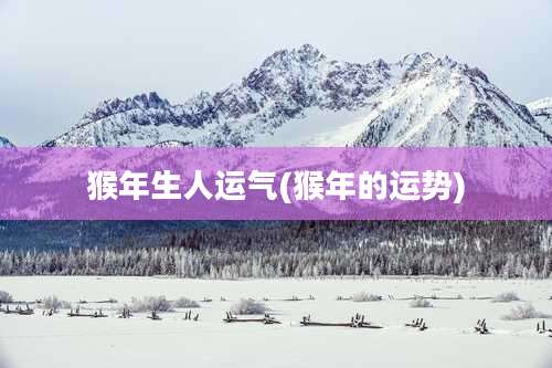 猴年生人运气(猴年的运势)